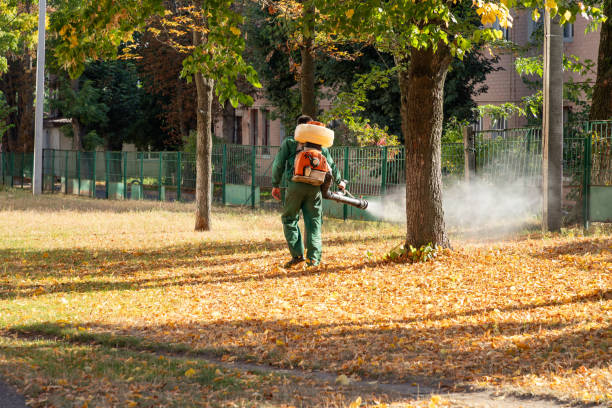 Best Residential Pest Control  in Sac City, IA